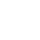 Shopify Icon